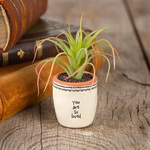 You Are So Loved Mini Planter